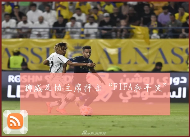 挪威足协主席抨击“FIFA和平奖”