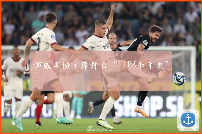 挪威足协主席抨击“FIFA和平奖”