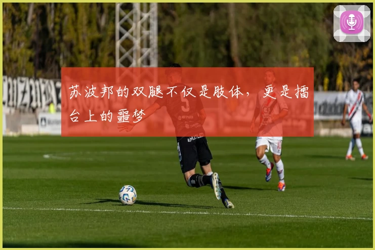 苏波邦的双腿不仅是肢体，更是擂台上的噩梦